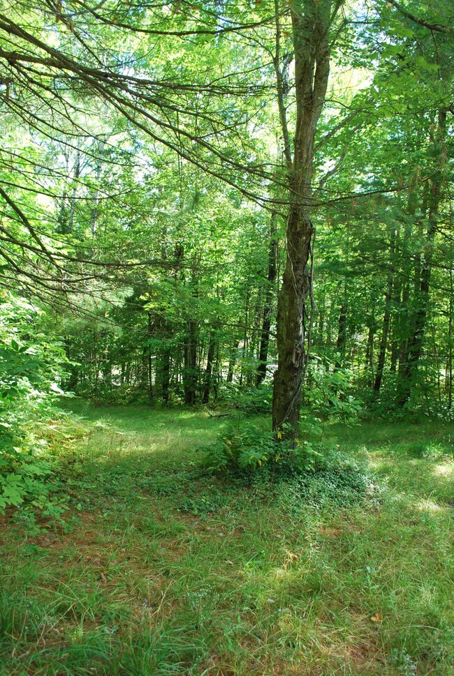 0 South Rd, Harmony, ME 04942 - photo 7