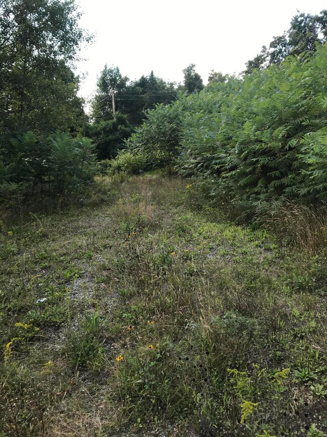 M1978 L92H State Route 9, Crawford, ME 04694 - photo 4