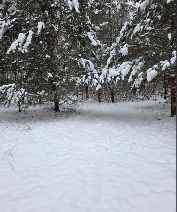 V/L 11th St, Plainwell, MI 49080 - photo 3