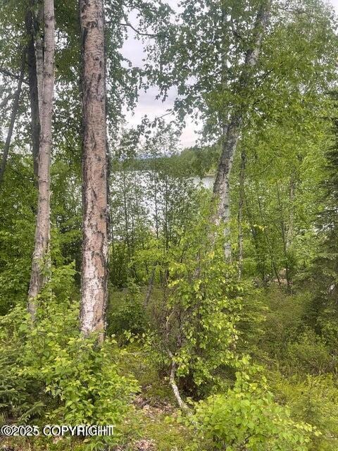 L22 W Call of The Wild Cir, Big Lake, AK 99654 - photo 2