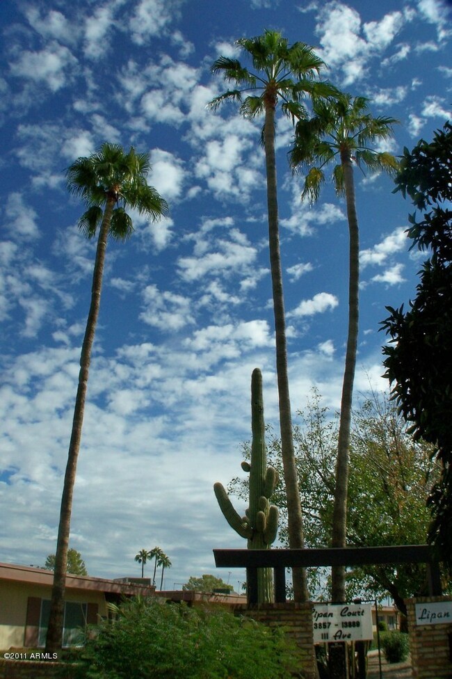 13867 N 111th Ave, Sun City, AZ 85351 - photo 3