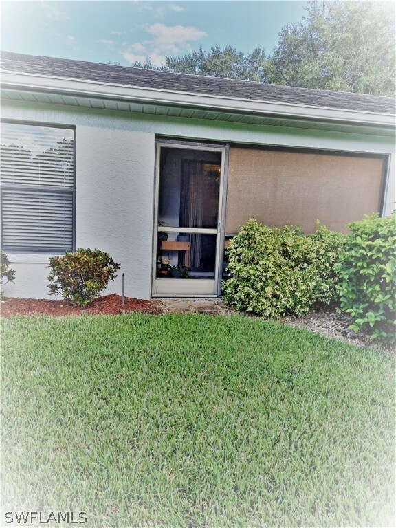 Back yard