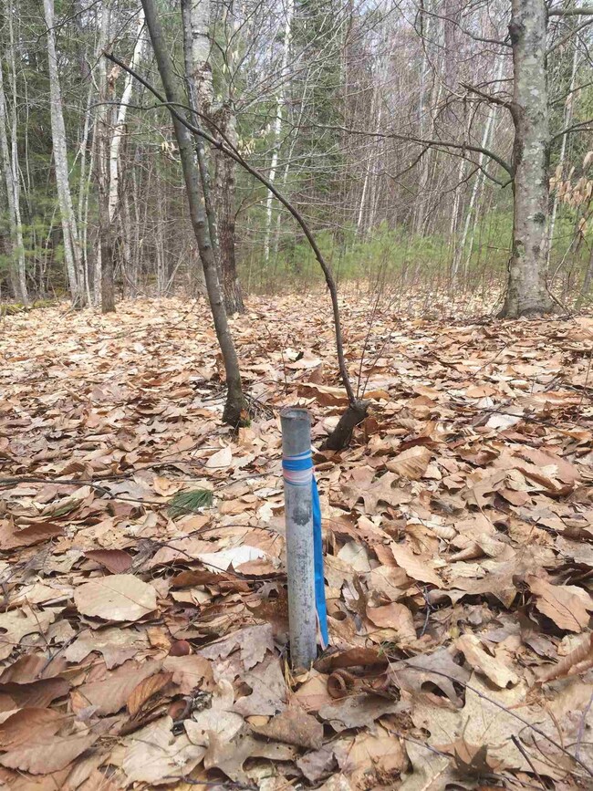 0 Joanna St unit tax lot number 029, Moultonborough, NH 03254 - photo 7