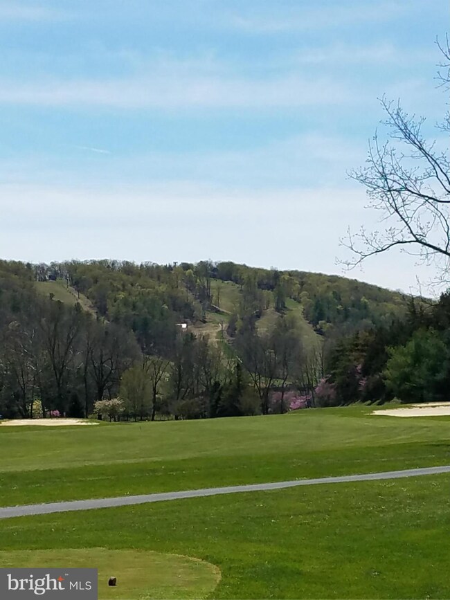 2488 Fairway Dr unit 629, Basye, VA 22810 - photo 2