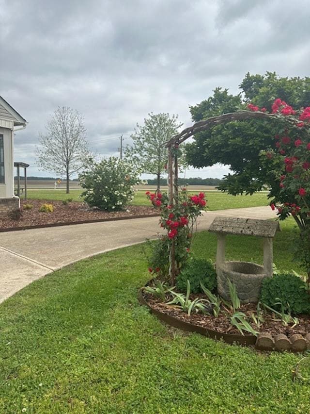 8745 Pulaski Pike, Toney, AL 35773 - photo 5