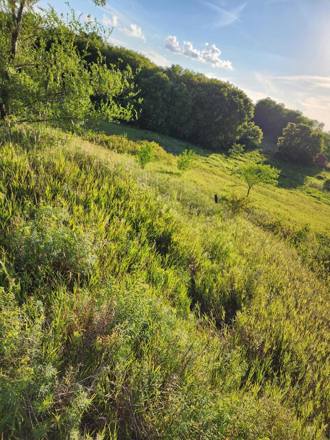 XXXX Country Estates Ct, Ida Township, MN 56308 - photo 2