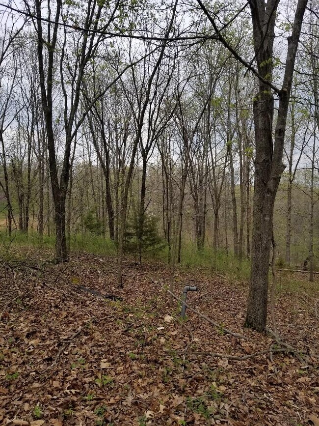 0 Reba Ln unit 1180911, Bella Vista, AR 72715 - photo 3