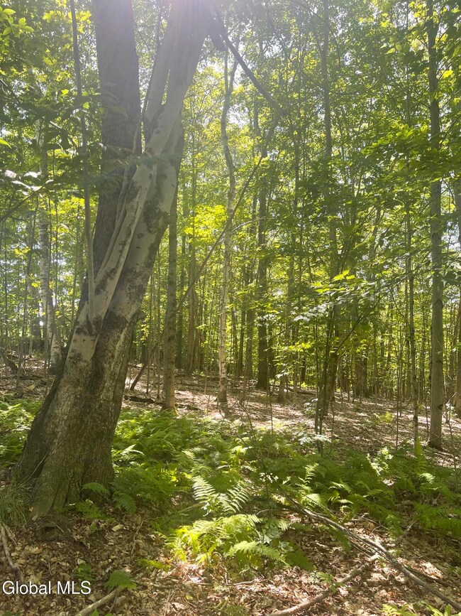 L4.15 New York 22, Berlin, NY 12022 - photo 5