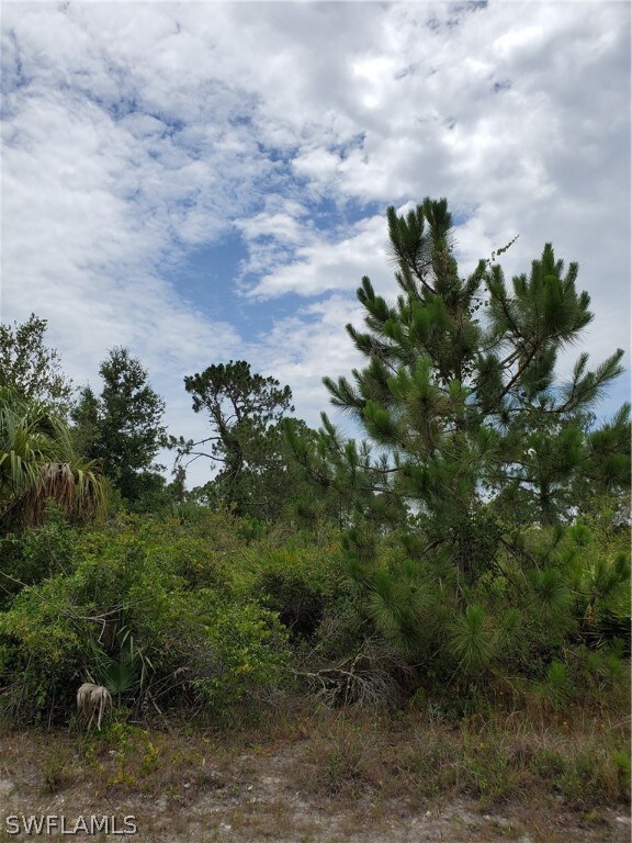 3313 51st St W, Lehigh Acres, FL 33971 - photo 6