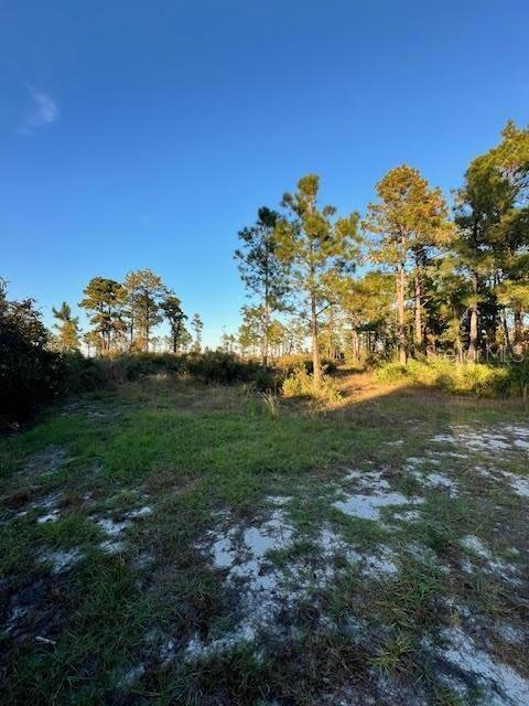 0 Seagrape Ave unit MFRA4672088, Eustis, FL 32736 - photo 5