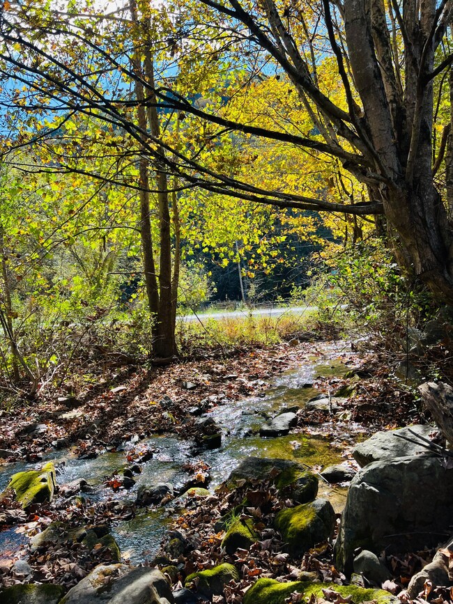 823 Pete Amos Rd, Lindside, WV 24951 - photo 7