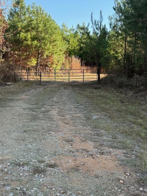 0 County Road 39, Ramer, AL 36069 - photo 2