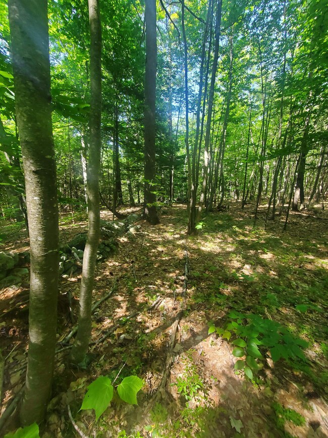 0 Craney Hill Rd, Henniker, NH 03242 - photo 7