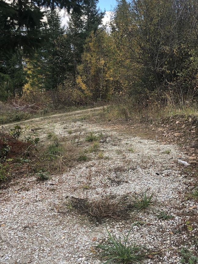 2190 Heine Rd, Chewelah, WA 99109 - photo 7