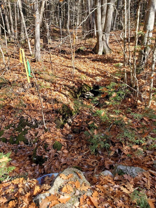 Lot 41 Fernalds Hill Way, Stow, ME 04037 - photo 6