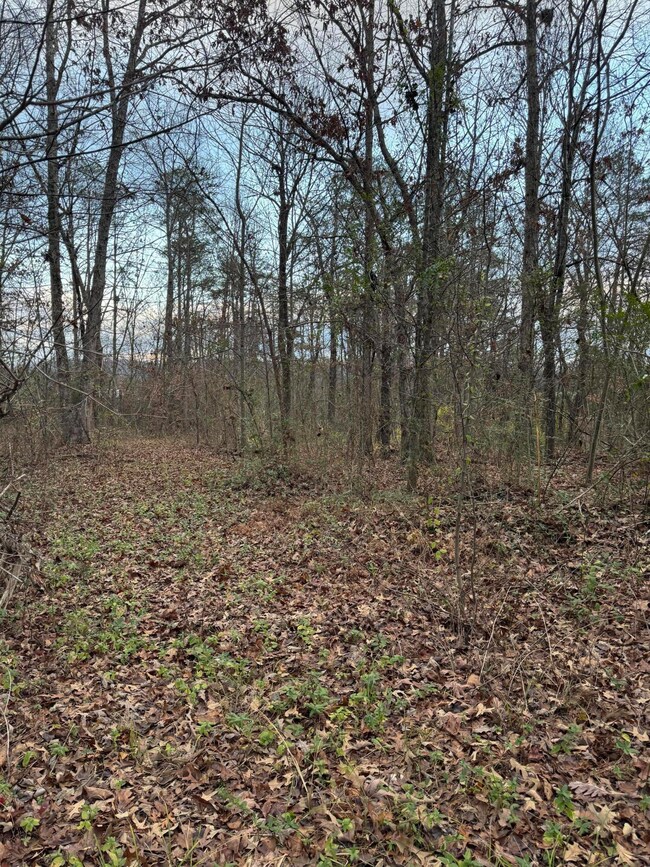 00 County Road 517, Englewood, TN 37329 - photo 7