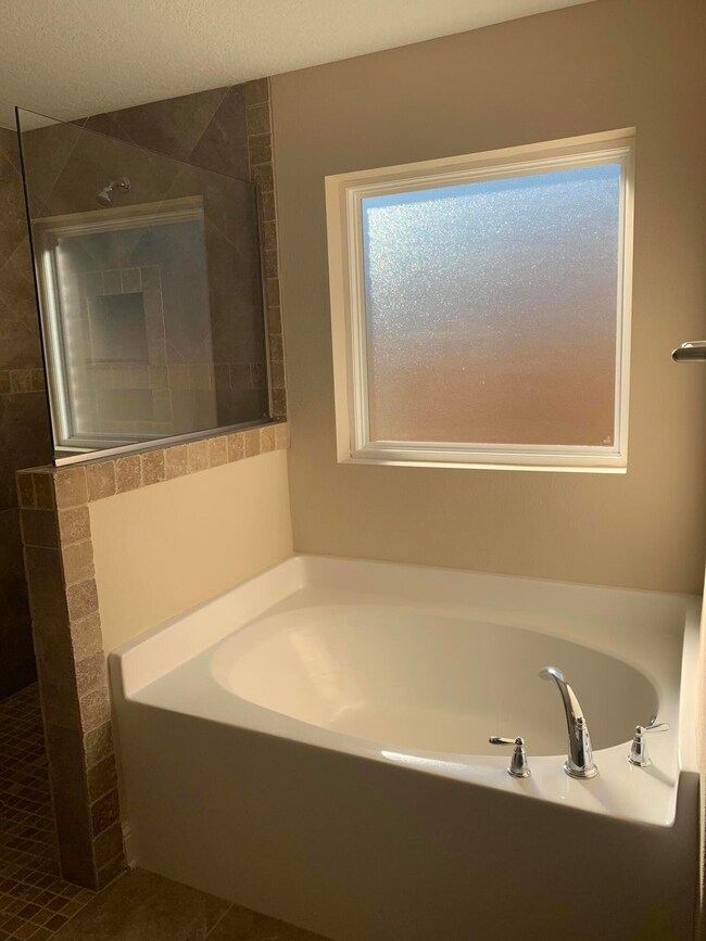 Soaking Tub in Master