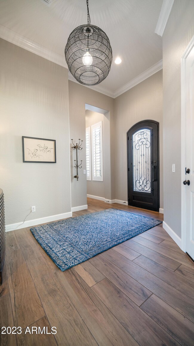 Iron Entry Door