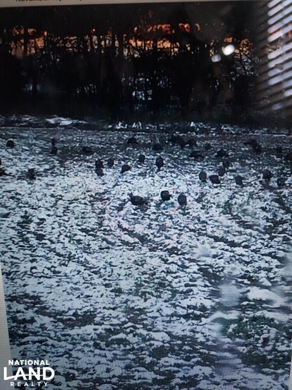 18051 Quaker Rd, Parsons, KS 67357 - photo 6