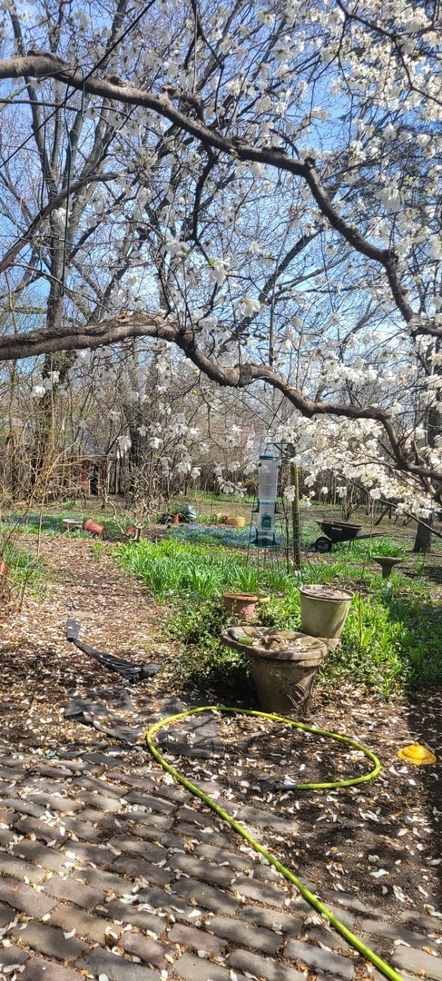 6921 Clarendon Hills Rd, Darien, IL 60561 - photo 2