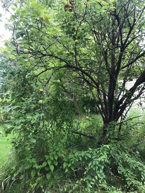 331 Richfield St, Troy, NY 12182 - photo 5