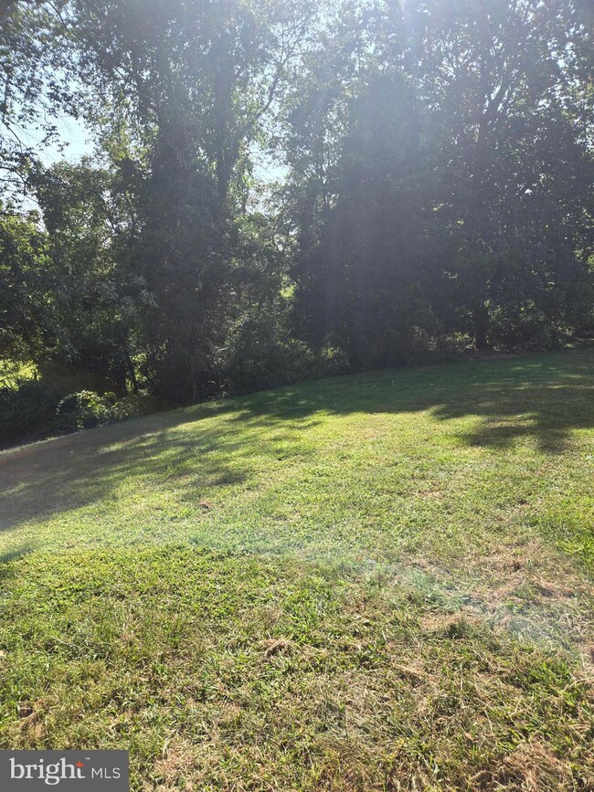 1431 Orchard Ln, Boyertown, PA 19512 - photo 6