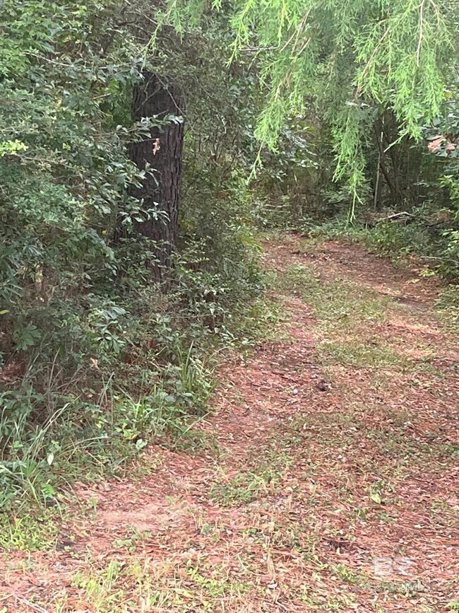 0 Mcdowell Rd, Bay Minette, AL 36507 - photo 5