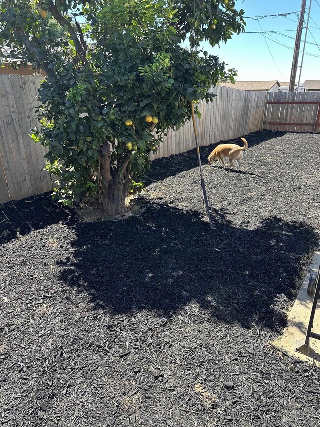 14407 Garden Rd, Poway, CA 92064 - photo 5