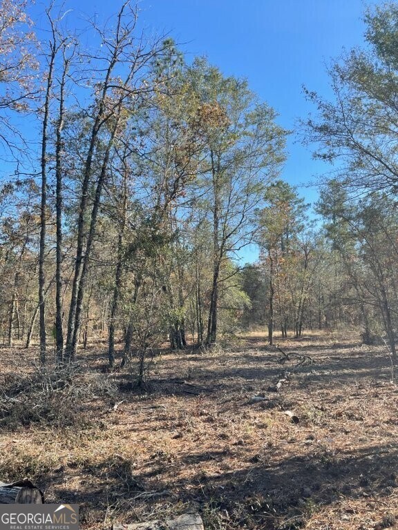 0 Highway 56 S unit 10646183, Swainsboro, GA 30401 - photo 6