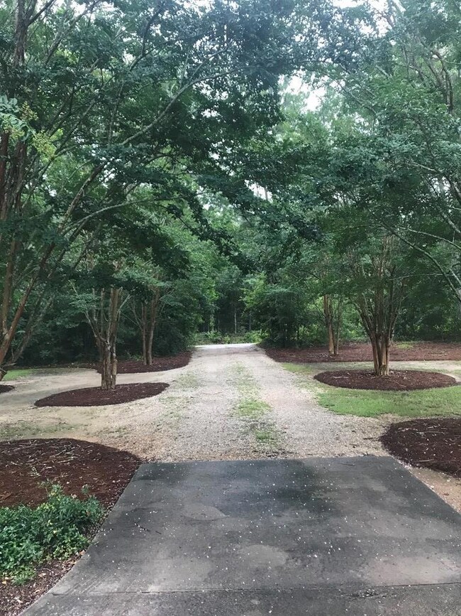 Driveway