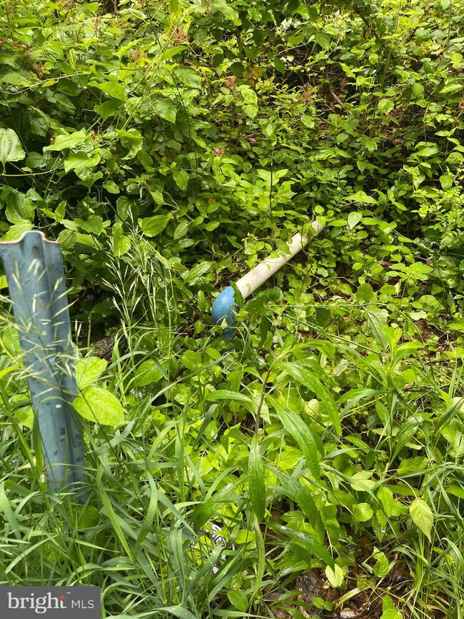 Sect A 16-23 Dogwod Trail, Harpers Ferry, WV 25425 - photo 4