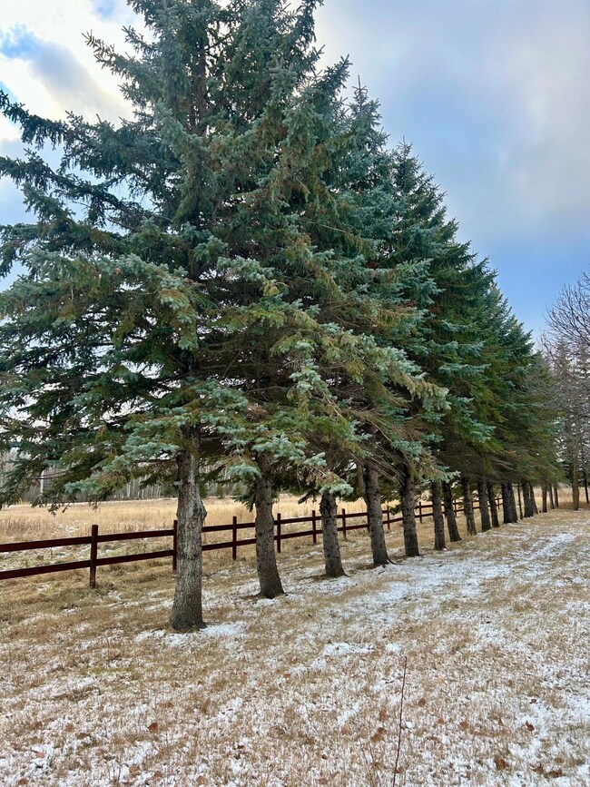 10496 160th St NE, Thief River Falls, MN 56701 - photo 6