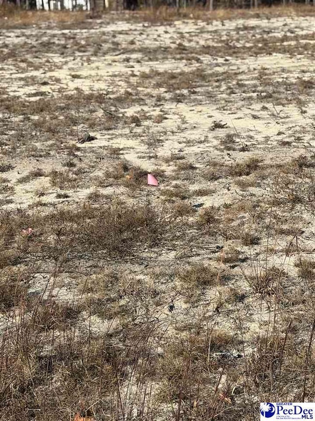 TBD Ruby Rd, Hartsville, SC 29550 - photo 4