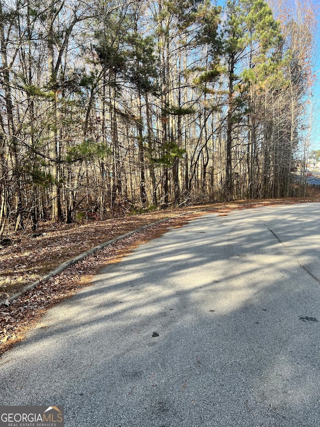 0 Hwy 5 unit 10652363, Douglasville, GA 30135 - photo 5