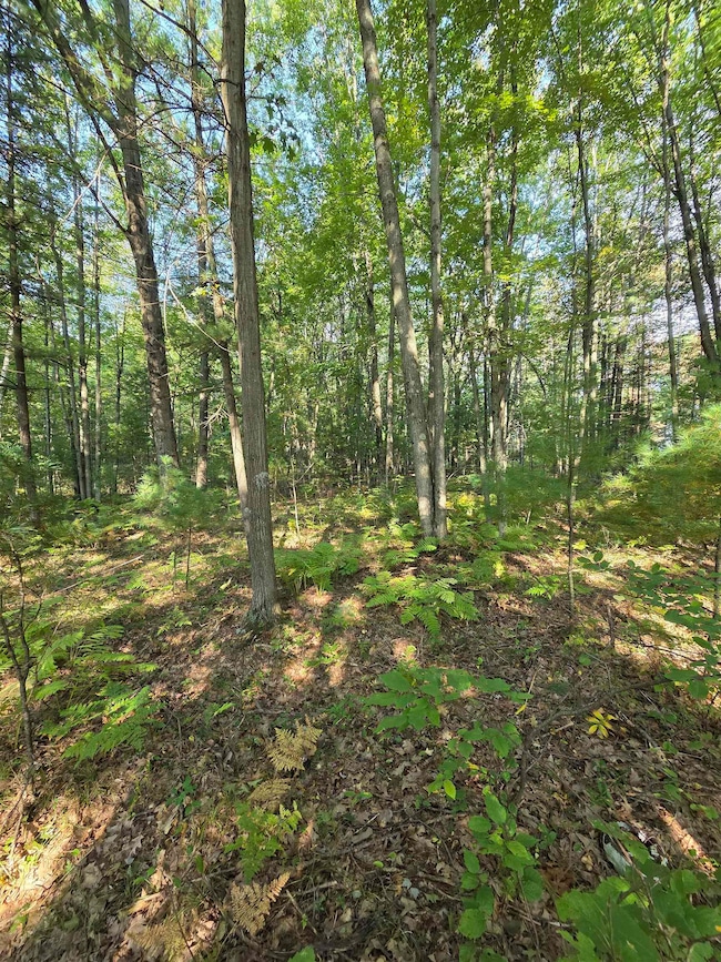 0 Hale Rd unit 50315282, Peshtigo, WI 54157 - photo 6