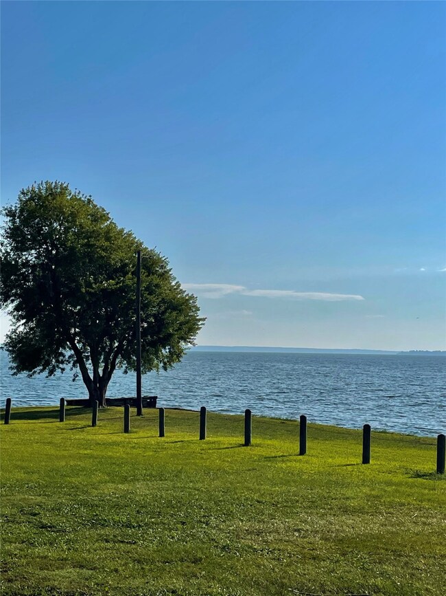 The park in the neighborhood.