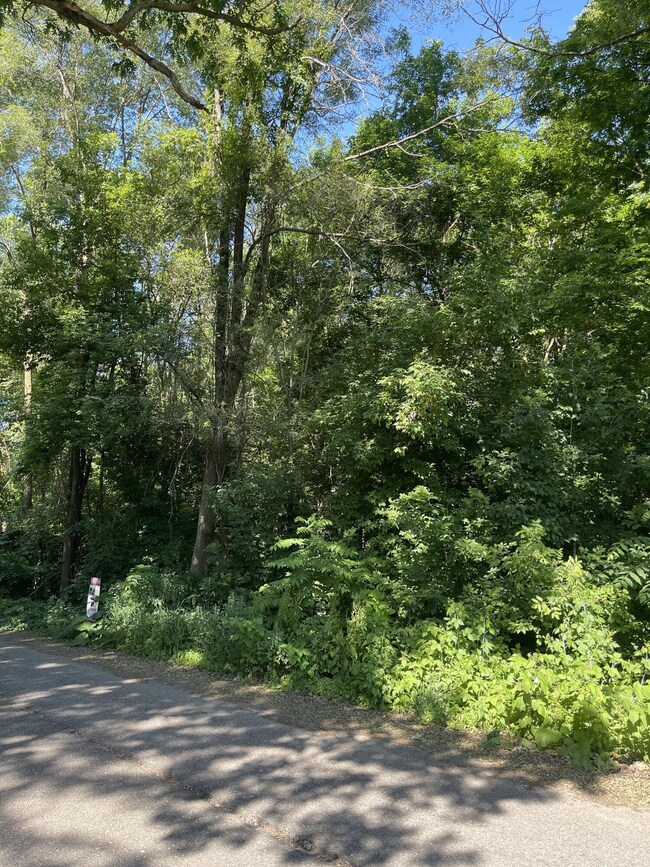 0 Hanover St St, Hubbardston, MI 48845 - photo 5