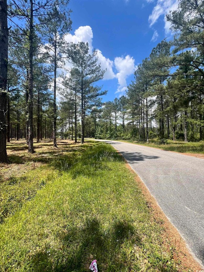 Lot 1 Ashley Cir, Conway, SC 29526 - photo 2