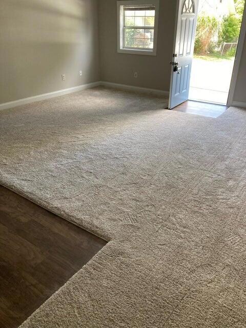Lake living room carpet