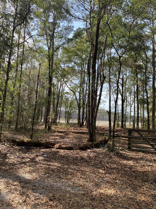 345 Royal Oak Ct, Crawfordville, FL 32327 - photo 3