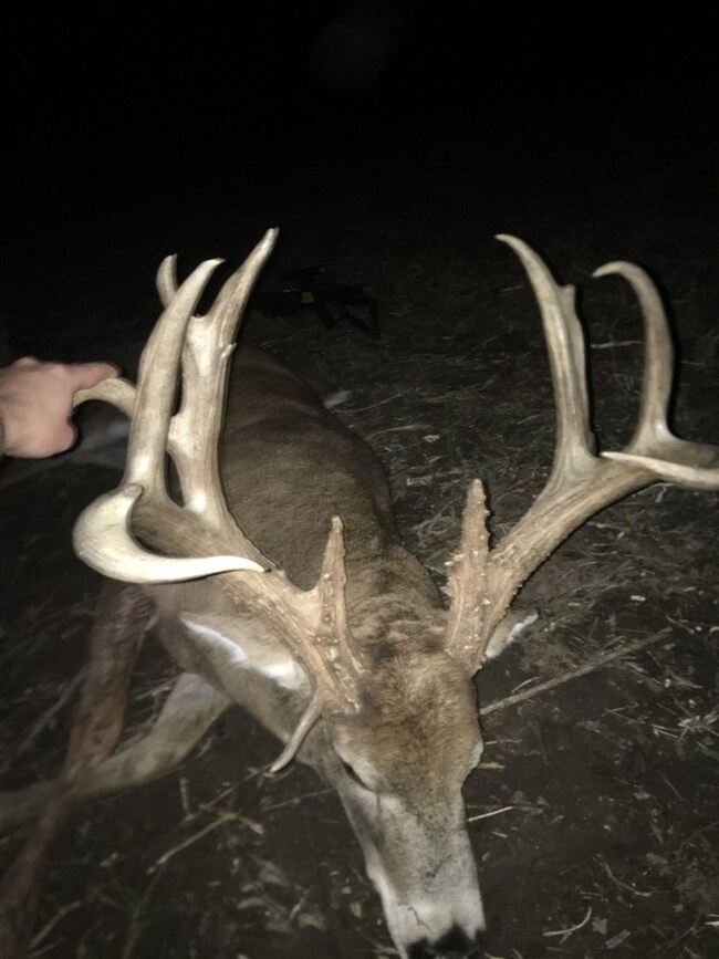 Great wildlife activity. This deer harvested Novem