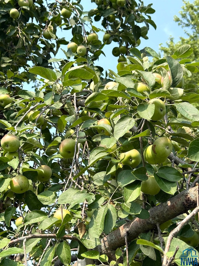 22954 Park Loop, Onawa, IA 51040 - photo 4