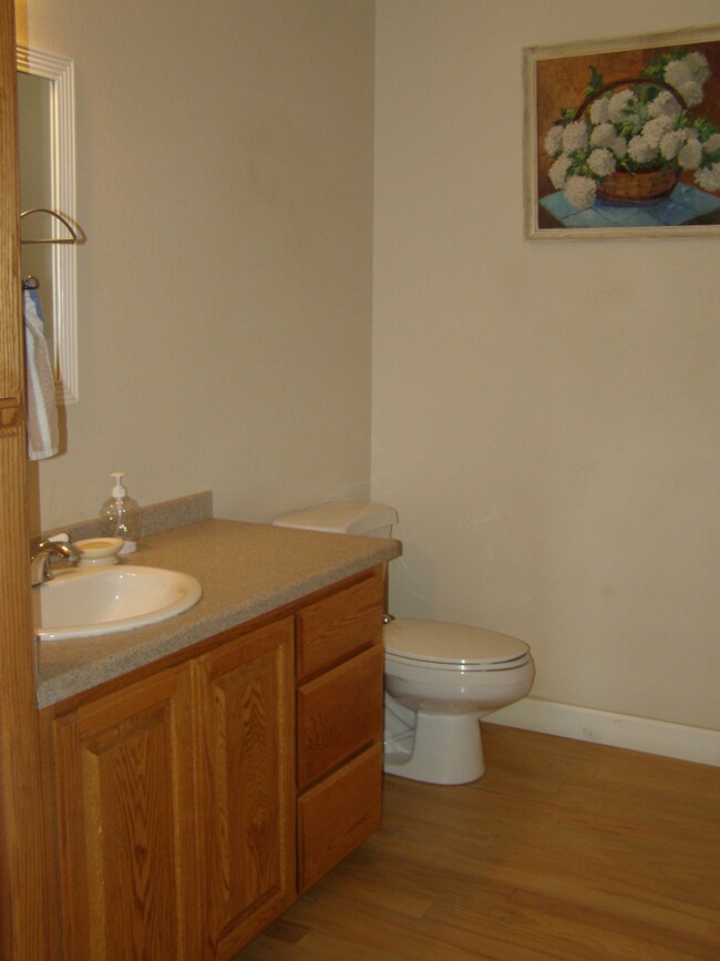 downstairs guest bath
