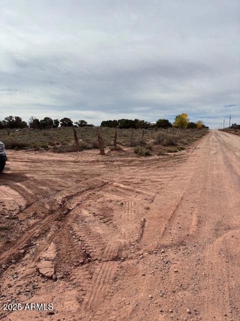 9049 Old School Bus Trail, Snowflake, AZ 85937 - photo 6