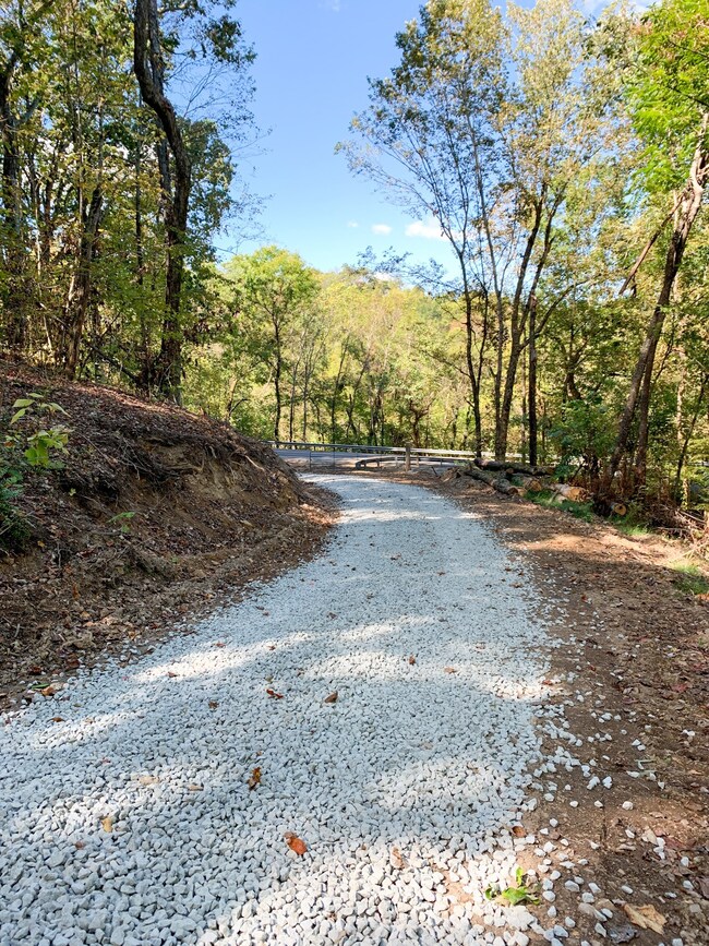 0 Bethel Rd, Prospect, TN 38477 - photo 3