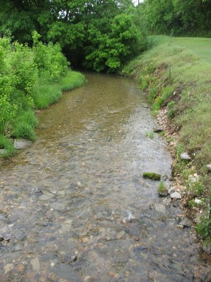 Year round creek