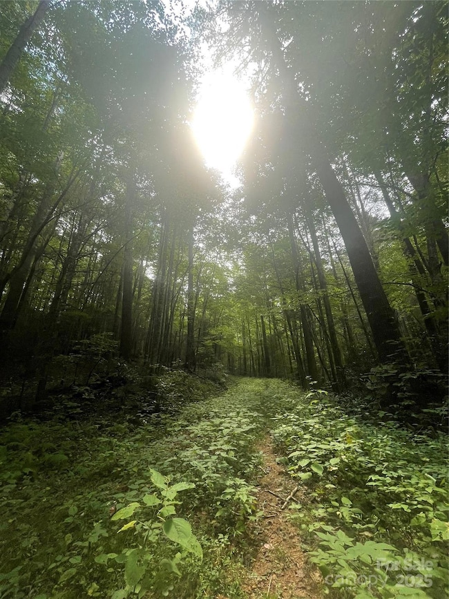 1201 Simms Fork Rd, Burnsville, NC 28714 - photo 6