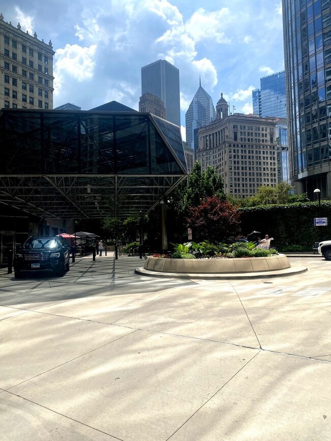 405 N Wabash Ave unit B4, Chicago, IL 60611 - photo 3