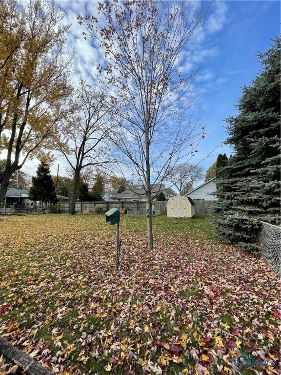 Back yard
