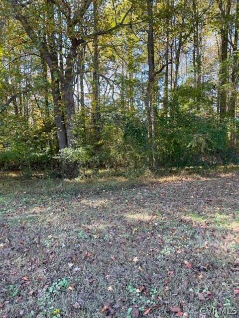 8779 Croaker Rd, Williamsburg, VA 23188 - photo 3